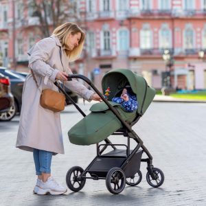 Прогулочная коляска CARRELLO Alfa CRL-5508